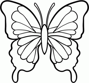 Бабочки. Как нарисовать поэтапно, карандашом