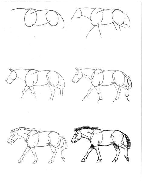 Учимся рисовать карандашом. Лошадь