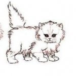 Как нарисовать персидского котенка