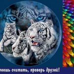 Оптические иллюзии. Тигры