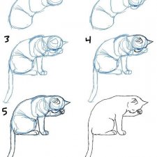 Пошаговое рисование котиков
