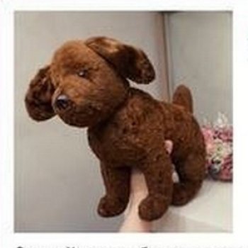 Собачка из прошлого: винтажная выкройка 1950–60-х годов с выкройкой