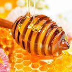 Пословицы для детей про мед