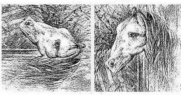 Оптические иллюзии. Лягушка или лошадь