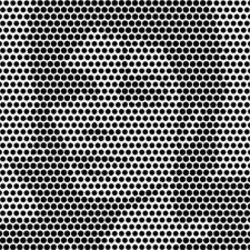 Оптическая иллюзия с портретом