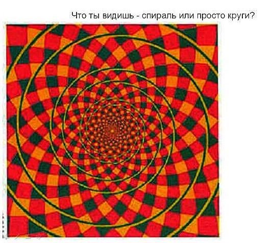 Оптические иллюзии картинки. Спираль или круги