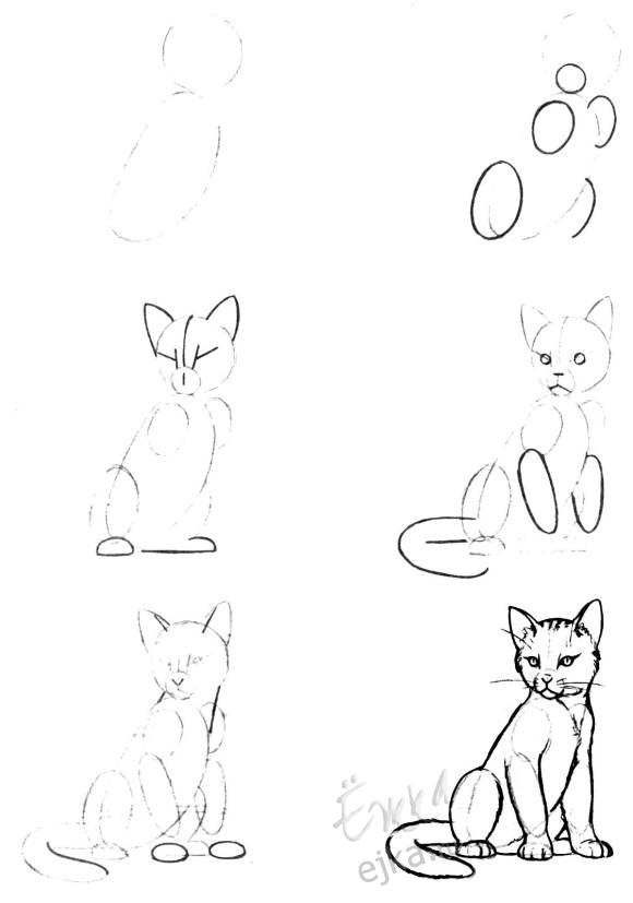 Урок поэтапного рисования карандашом - рисуем котенка