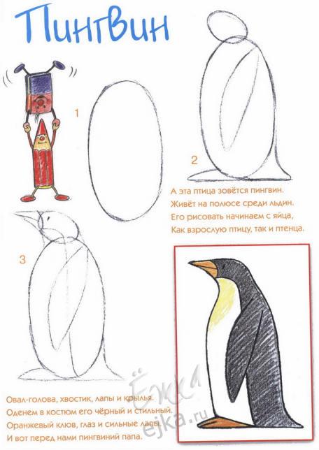 Рисование пошаговое для детей - рисунок пингвина / Уроки рисования ...