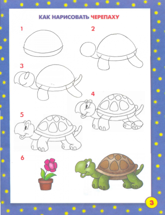 урок для рисования поэтапно - черепаха