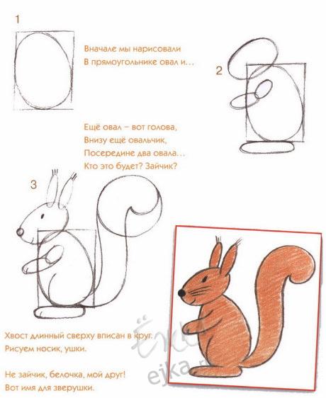 Урок поэтапного рисования карандашом для детей - Белка