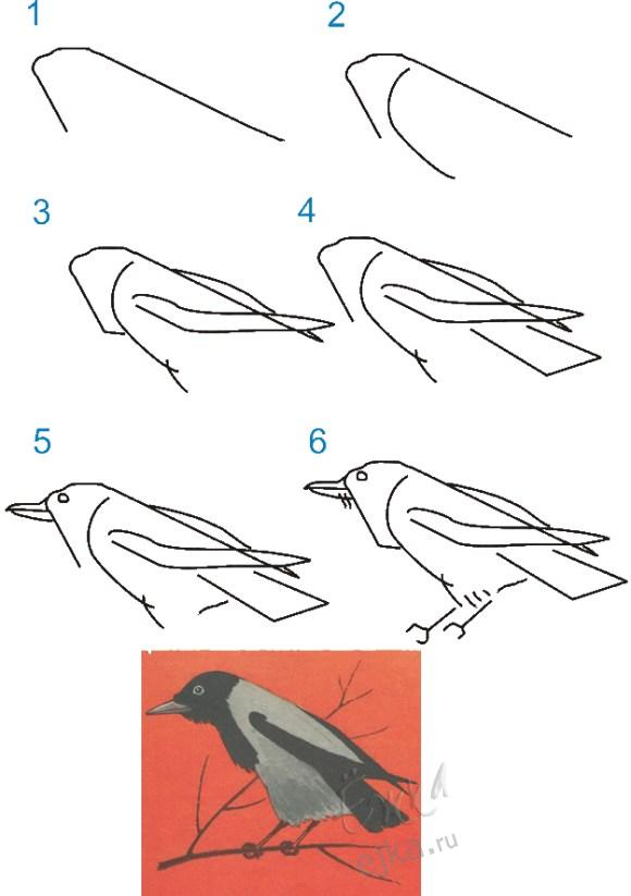 Рисуем ворону - как научится рисовать, для детей