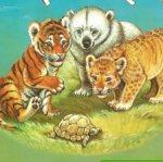Стихи о  диких животных для детей, Детки в клетке и другие