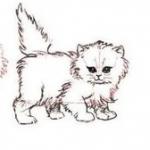 Пошаговое рисование для детей - кошки