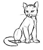 Урок поэтапного рисования карандашом для детей - рисунки кошек