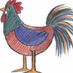 Урок рисования карандашом - курочка, петух и цыплята