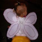 Крылья бабочки для девочки - как сделать своими руками, мастер класс в картинках
