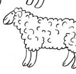 Уроки рисования для детей, поэтапный метод. Как нарисовать собаку, овечку, оленя и других животных